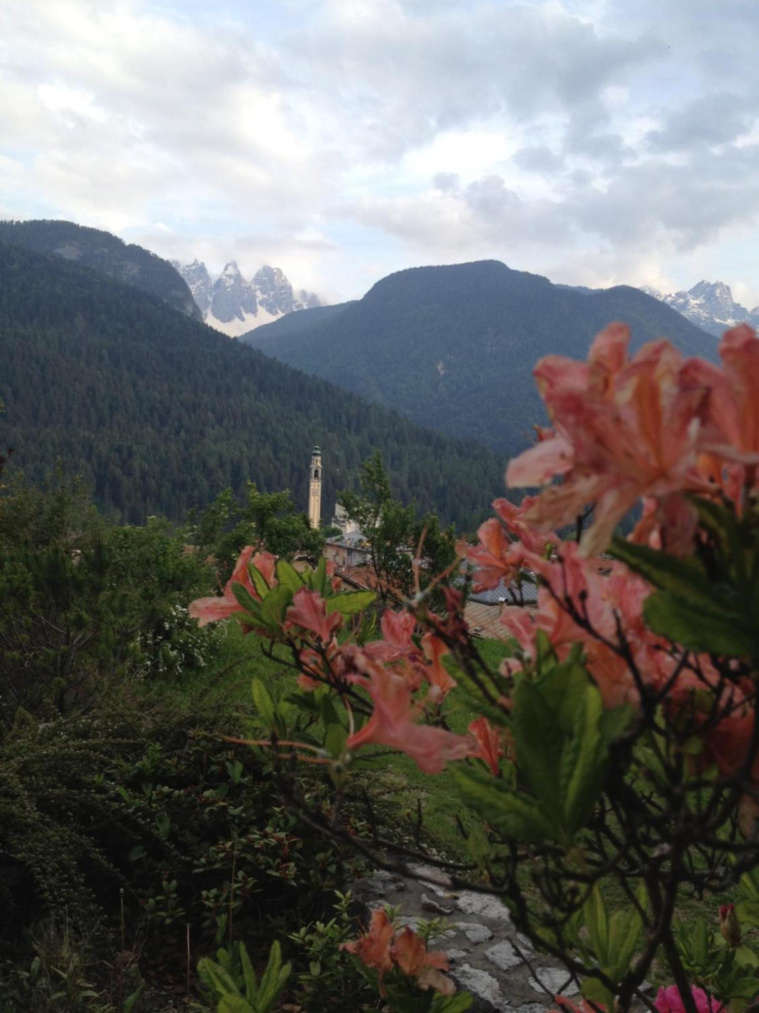 Fra Rose E Mughi Bed & Breakfast Domegge di Cadore Exterior foto