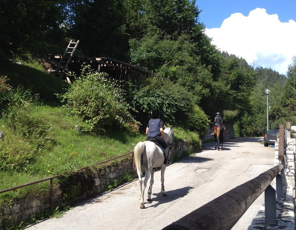 Fra Rose E Mughi Bed & Breakfast Domegge di Cadore Exterior foto